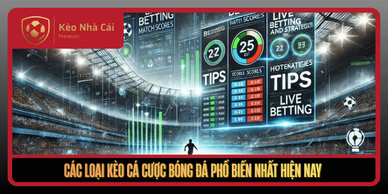 Kèo Nhà Cái - tylekeohomnay, keo nha cai uy tín 2026 3 Cac Loai Keo Ca Cuoc Bong Da Pho Bien Nhat Hien Nay1