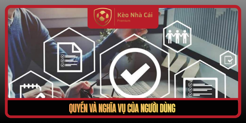 Điều Khoản Sử Dụng Tại Kèo Nhà Cái Rõ Ràng Và Minh Bạch 2 Quyen Va Nghia Vu Cua Nguoi Dung